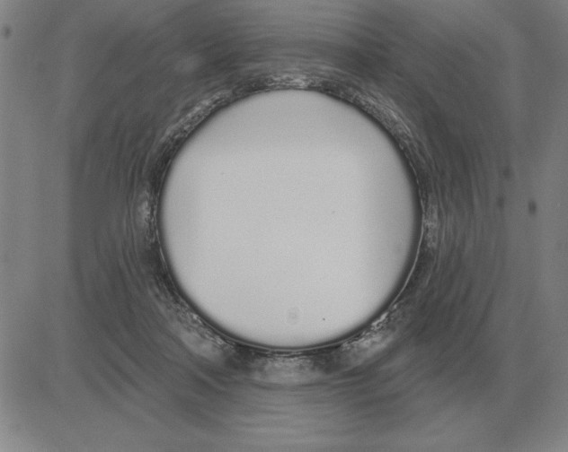 X0000080130314200701051426