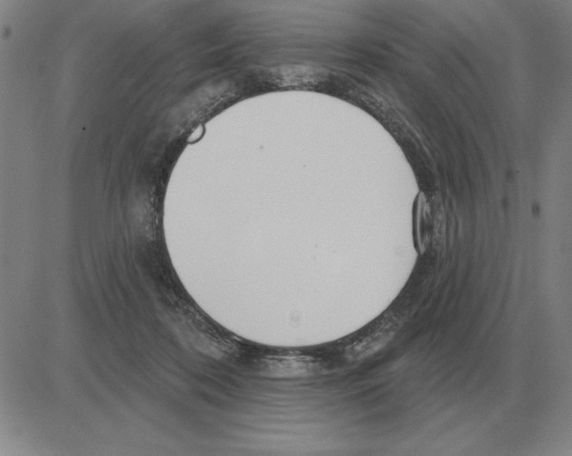 X0000080130316200701051426