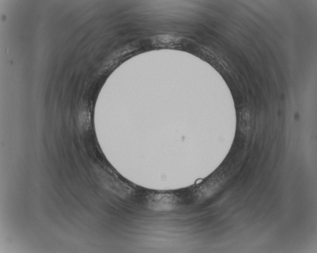 X0000080130324200701051426
