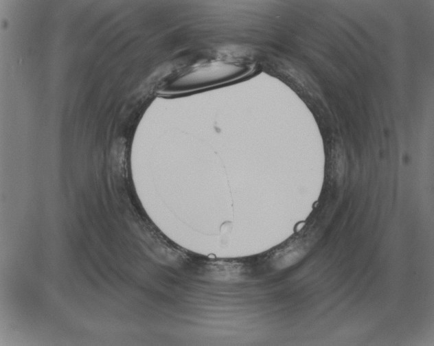 X0000080130328200701051425