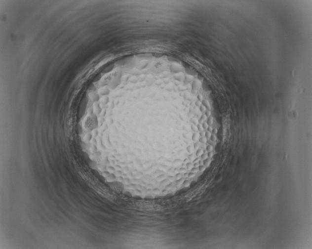 X0000080130339200701051425