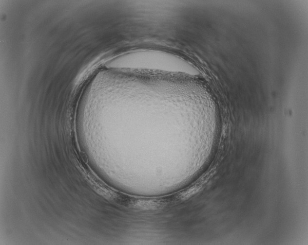 X0000080130341200701051425