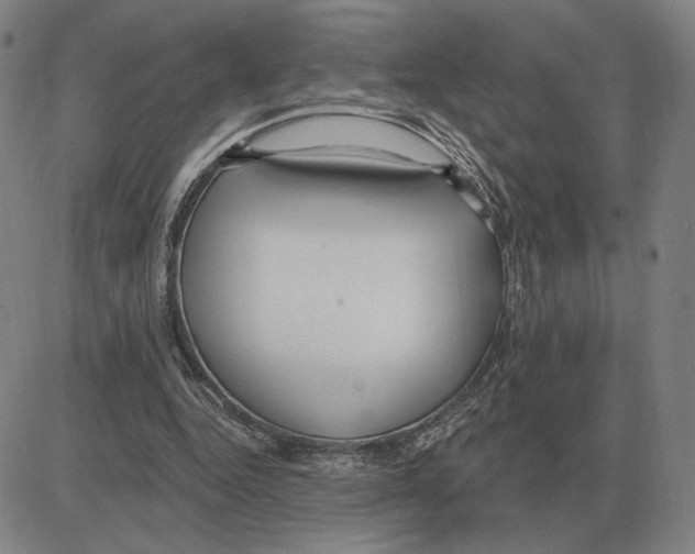 X0000080130344200701051425