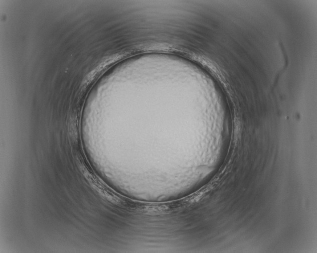 X0000080130345200701051425