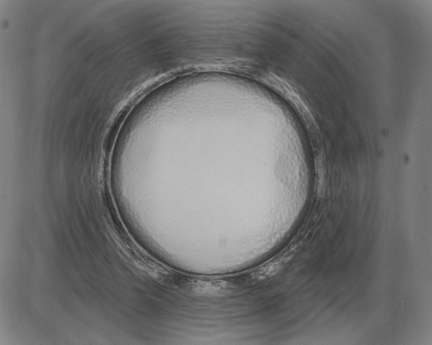 X0000080130346200701051425