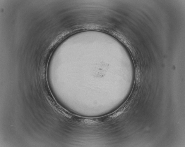 X0000080130347200701051425