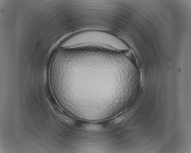 X0000080130348200701051425