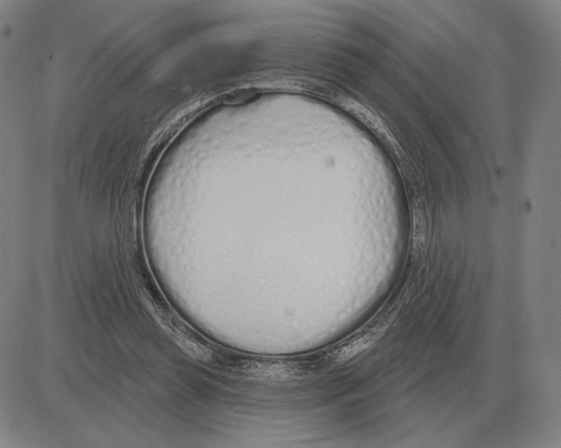X0000080130349200701051425
