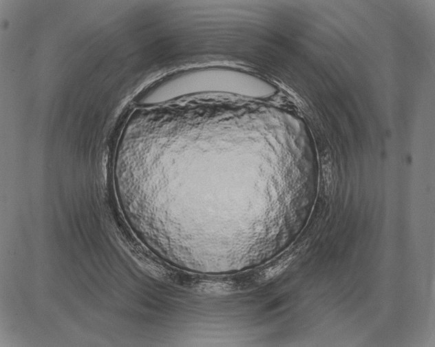 X0000080130350200701051425