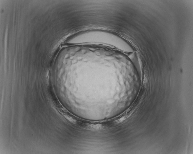 X0000080130352200701051425