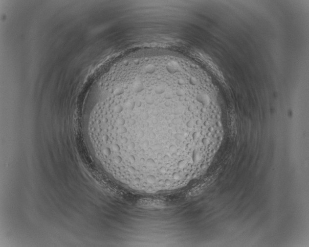 X0000080130354200701051425