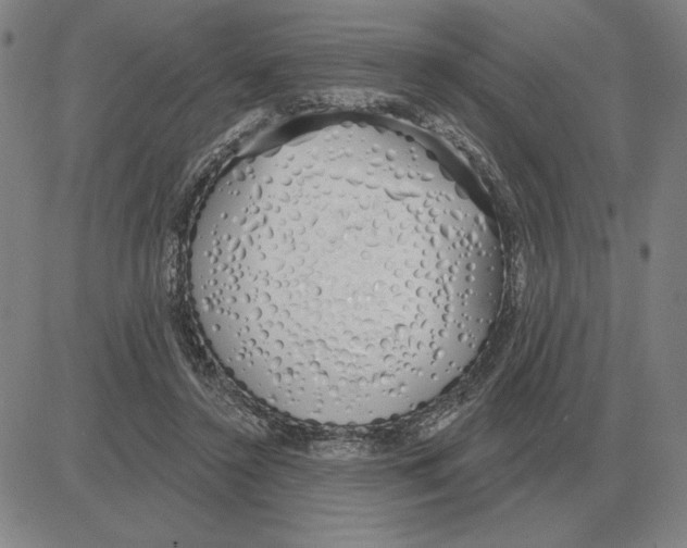 X0000080130356200701051425