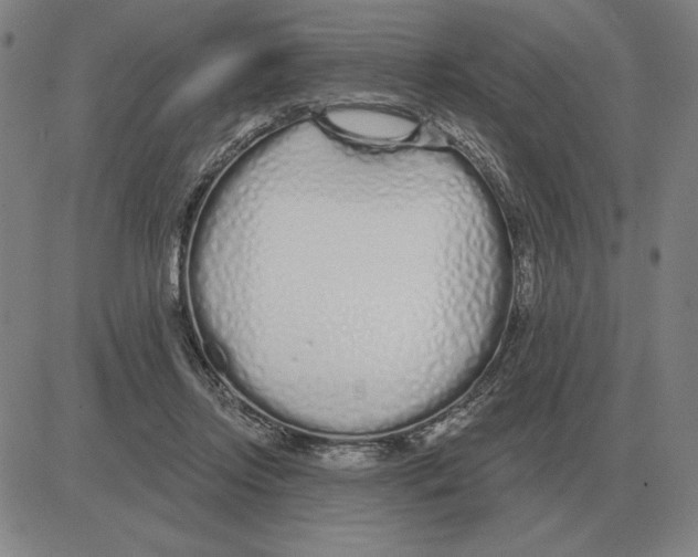 X0000080130358200701051425