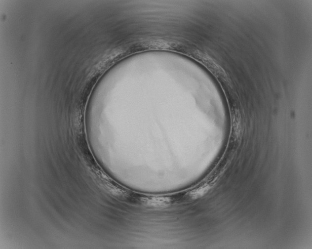 X0000080130359200701051425