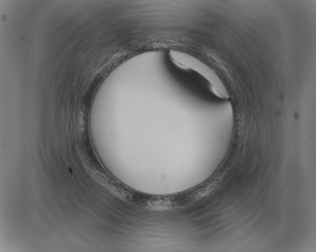 X0000080130362200701051425
