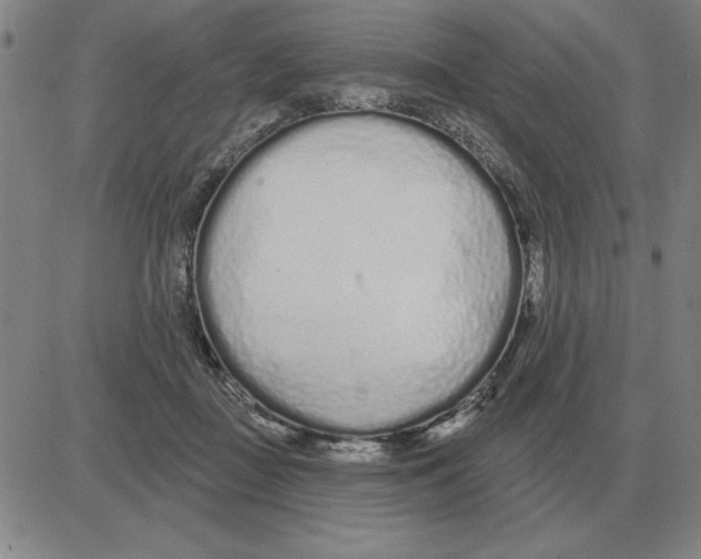X0000080130363200701051425
