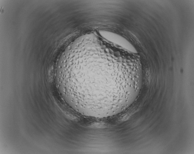X0000080130364200701051425