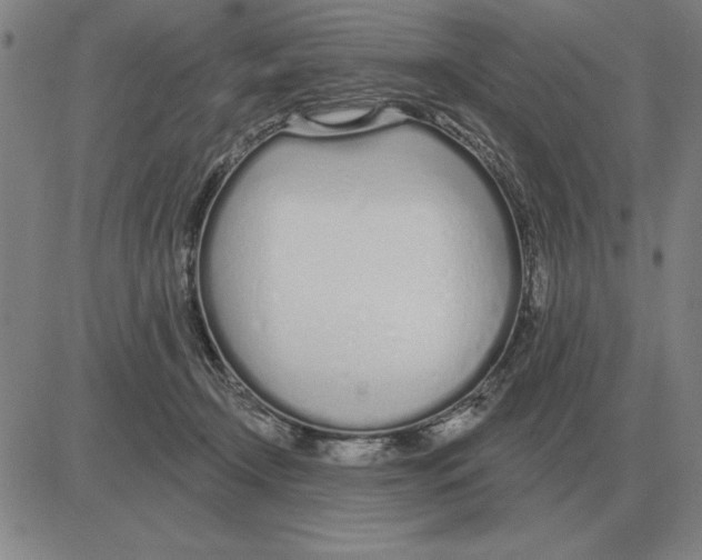 X0000080130366200701051425