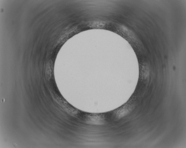 X0000080130370200701051425