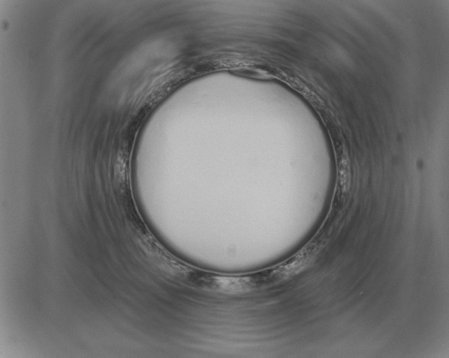 X0000080130371200701051425