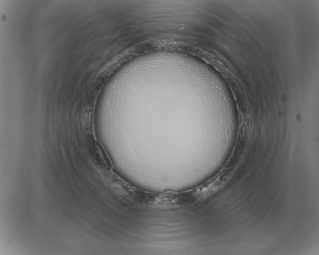 X0000080130372200701051425