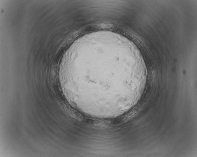 X0000080130373200701051425