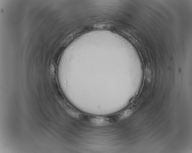 X0000080130375200701051425