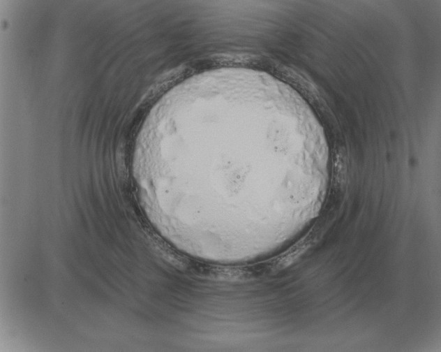 X0000080130377200701051425