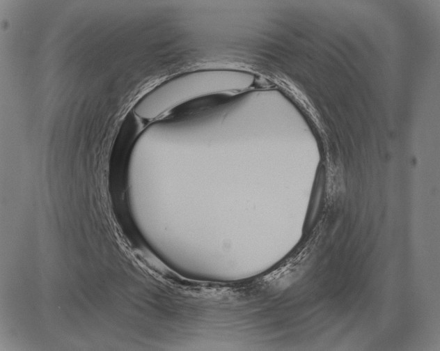 X0000080130385200701051425