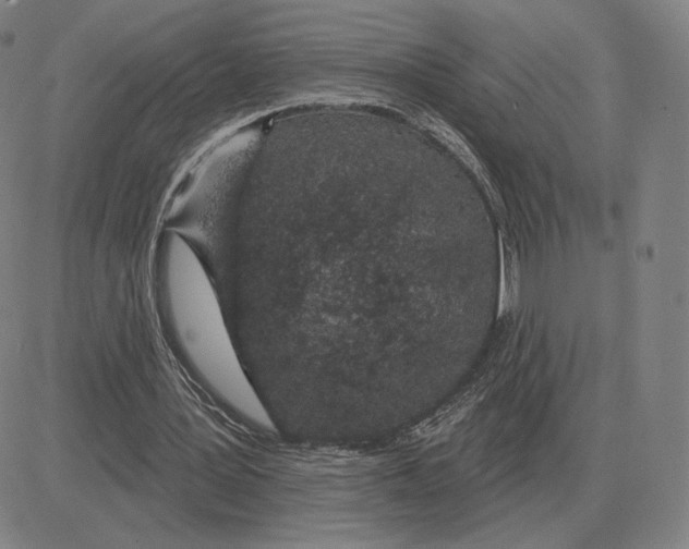 X0000080130387200701051424