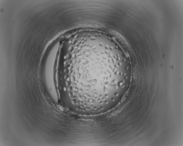 X0000080130388200701051424