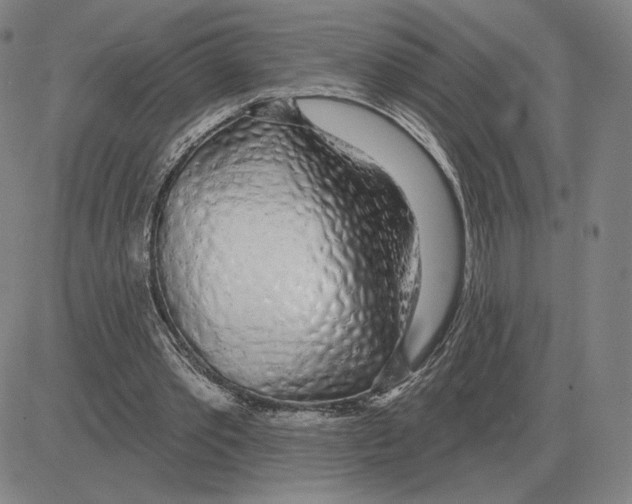 X0000080130389200701051424