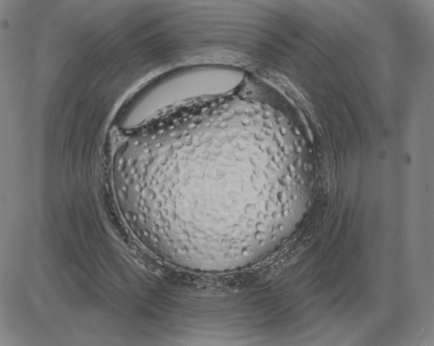 X0000080130392200701051424