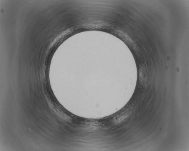 X0000080130396200701051424