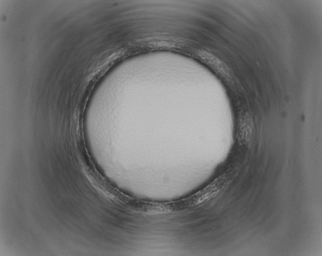 X0000080130398200701051424