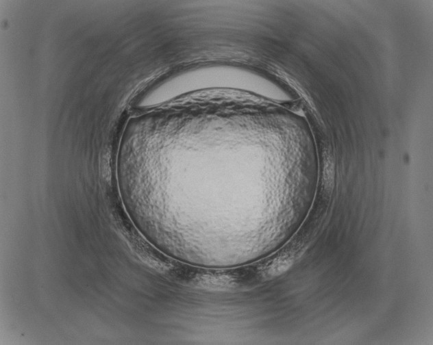 X0000080130403200701051424