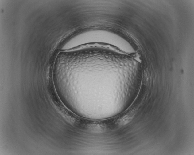 X0000080130404200701051424