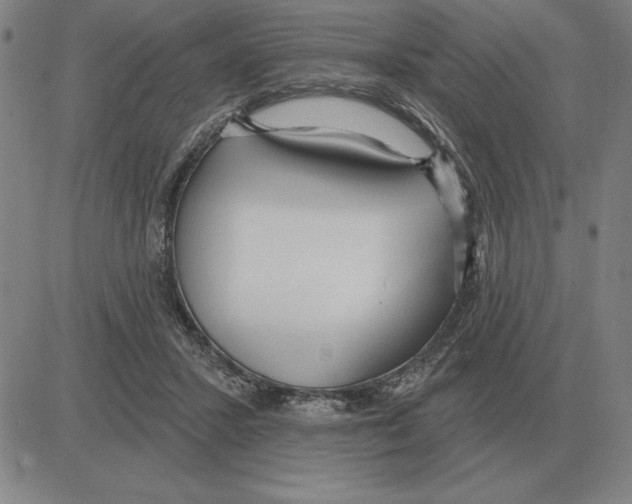 X0000080130407200701051424