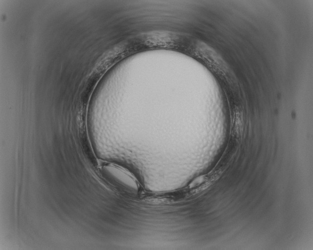 X0000080130408200701051424