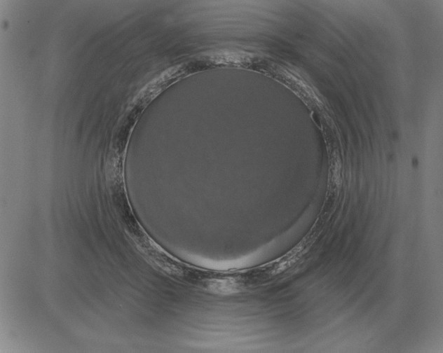 X0000080130411200701051424