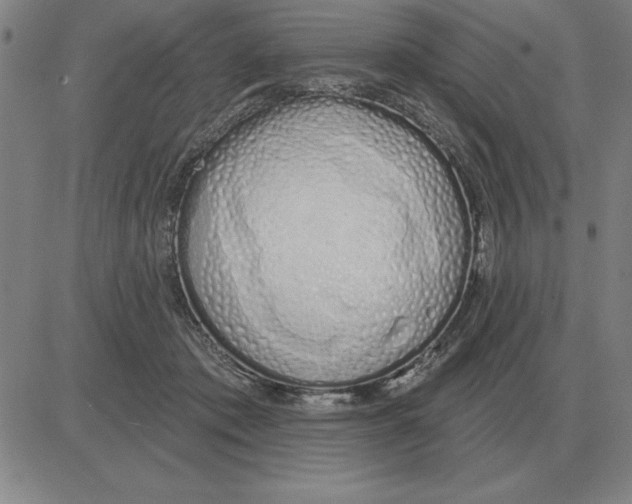 X0000080130413200701051424