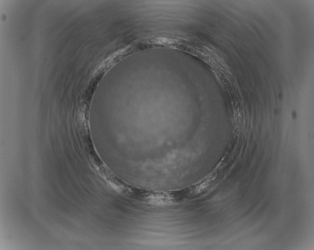 X0000080130415200701051424