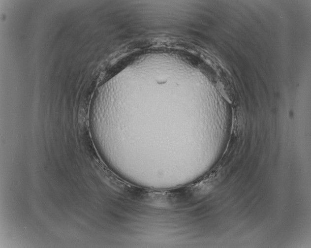 X0000080130417200701051424