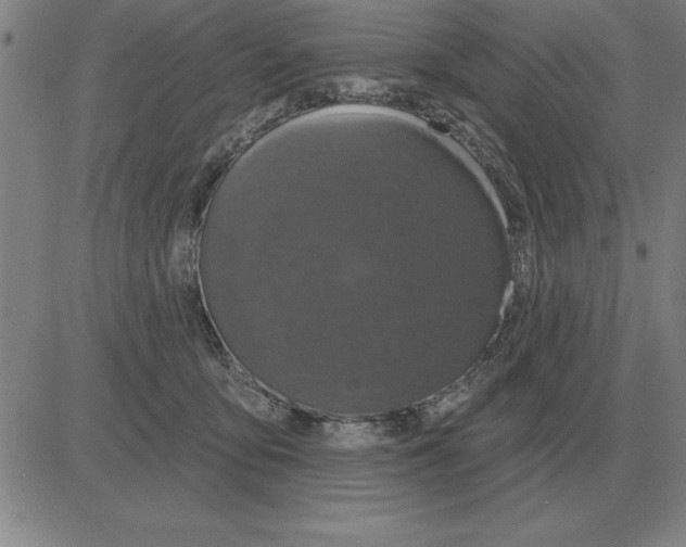 X0000080130419200701051424