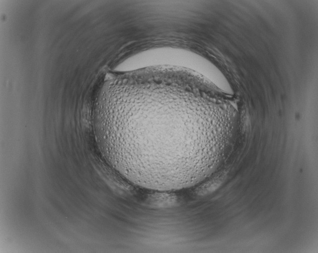 X0000080130421200701051424