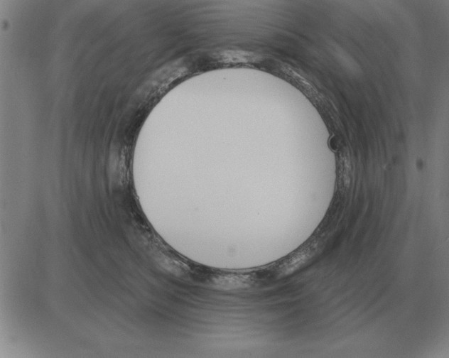 X0000080130422200701051424