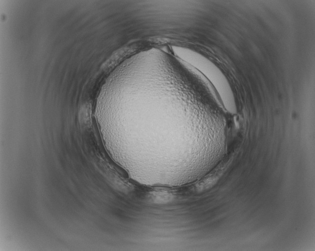 X0000080130425200701051424