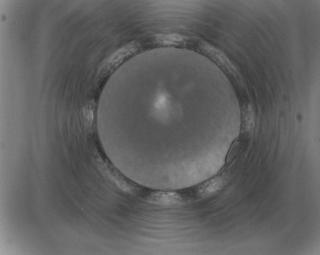 X0000080130427200701051424