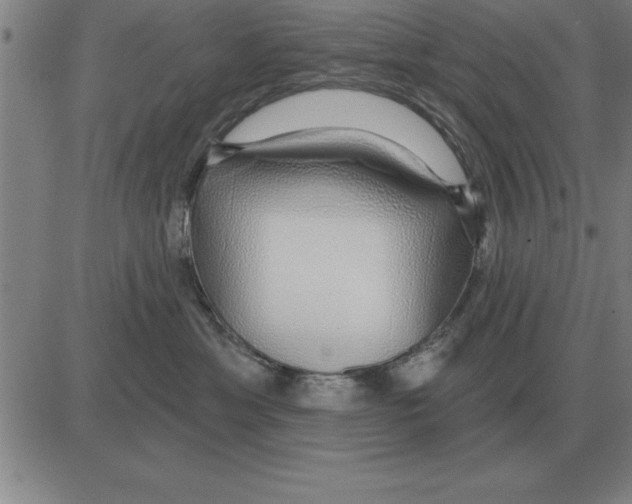 X0000080130429200701051424