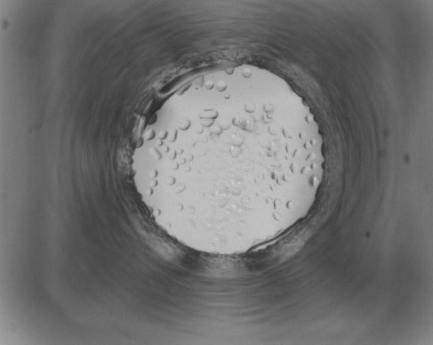 X0000080130432200701051424